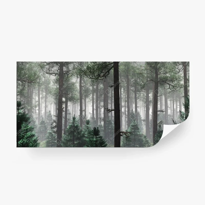 Fototapeta mglisty iglasty las