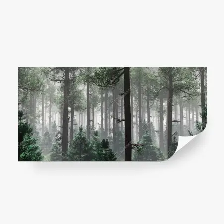 Fototapeta mglisty iglasty las – Wallissimo®