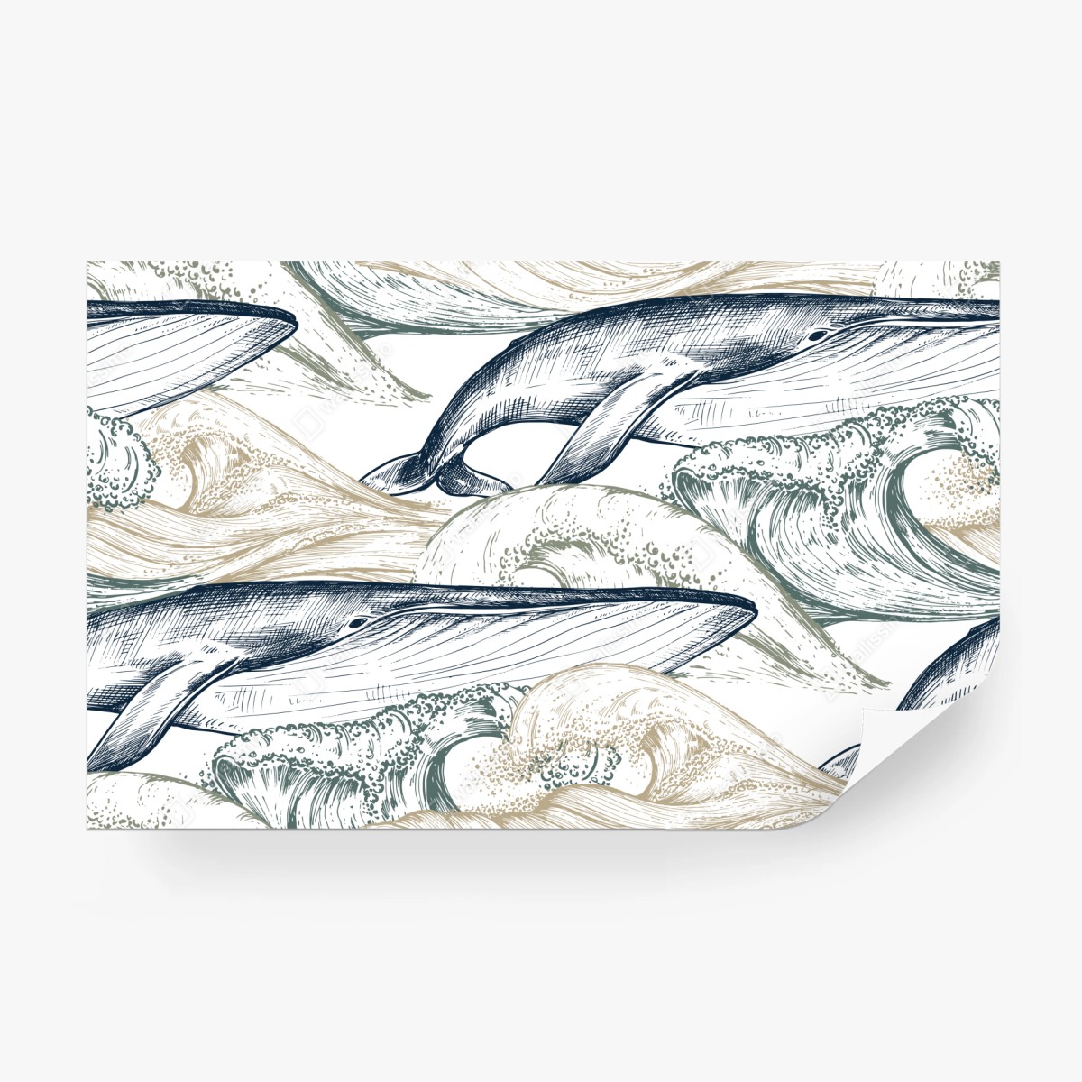 Fototapeta rysunek wielorybów i morskich fal – Wallissimo®