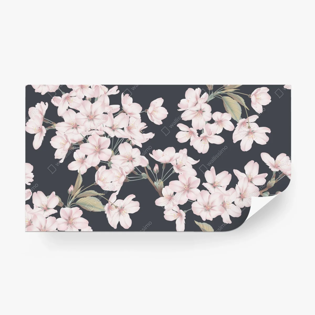 Fototapeta delikatny wzór kwiatów wiśni – Wallissimo®