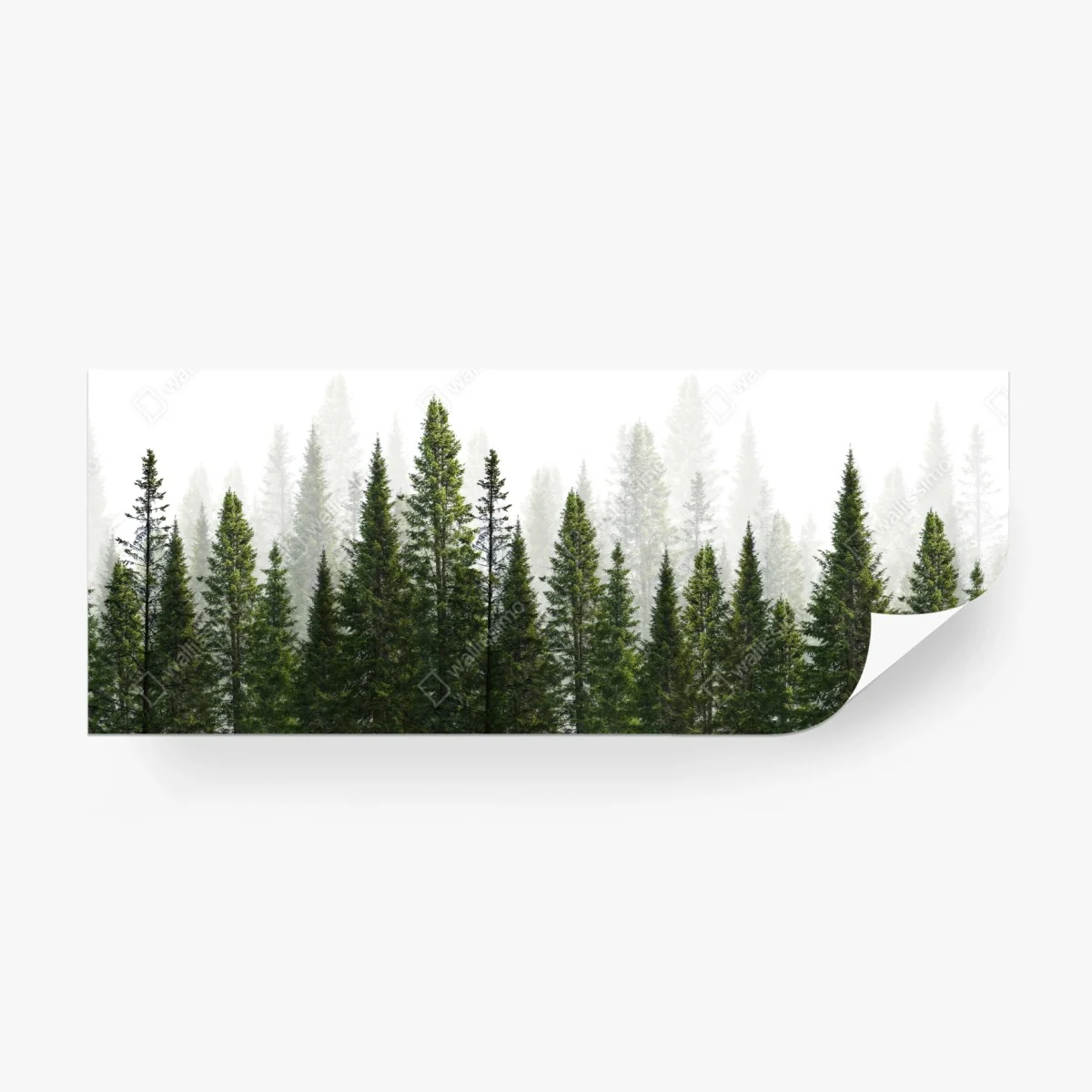 Fototapeta mglisty las jodłowy – Wallissimo® Fototapeta mglisty las jodłowy – Wallissimo®