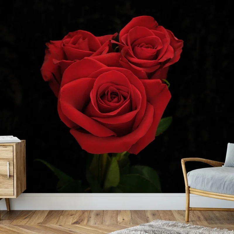 Fototapeta czerwone róże na czarnym tle
