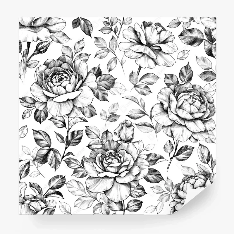 Fototapeta ręcznie rysowany wzór róż