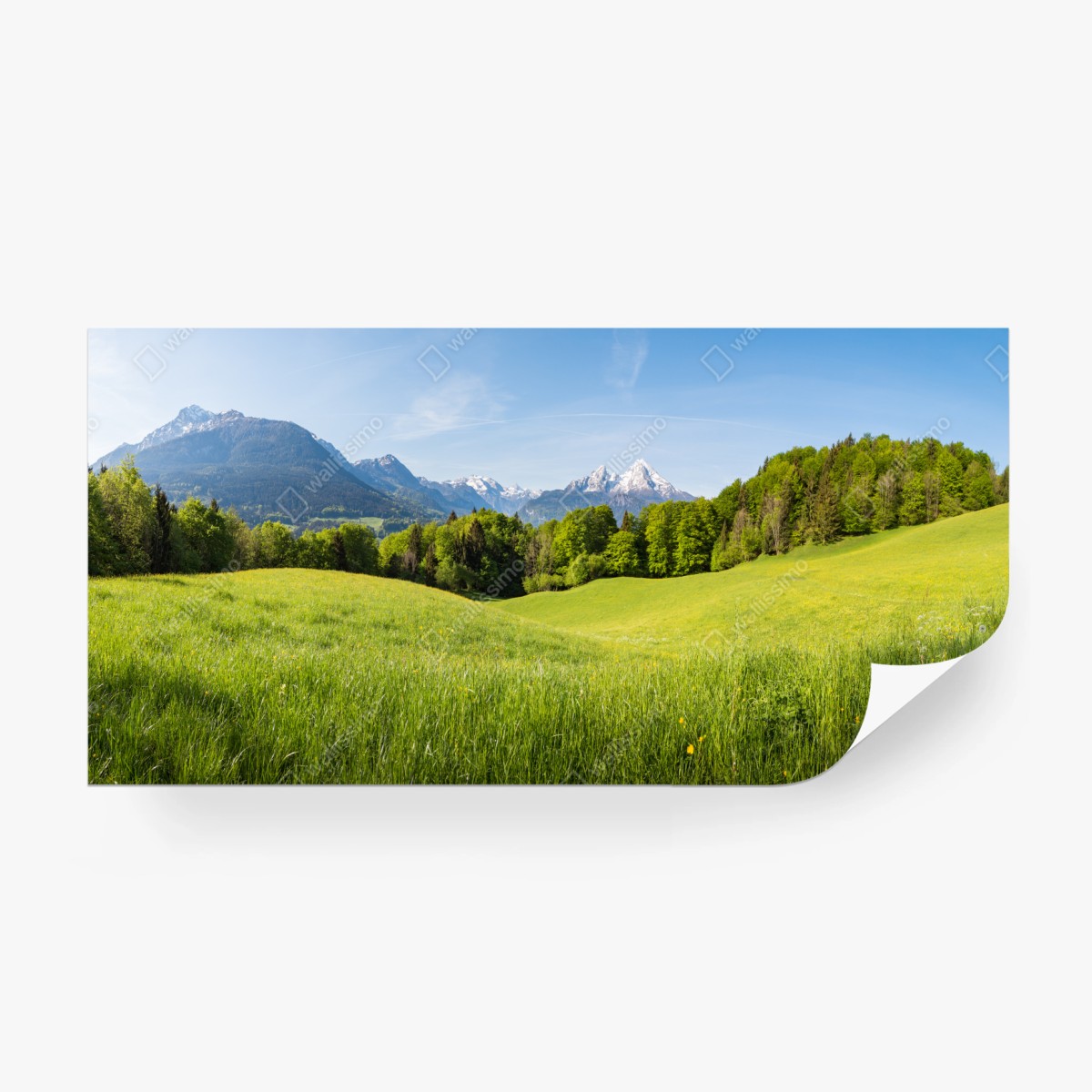 Fototapeta spokojna alpejska łąka w panoramie – Wallissimo®