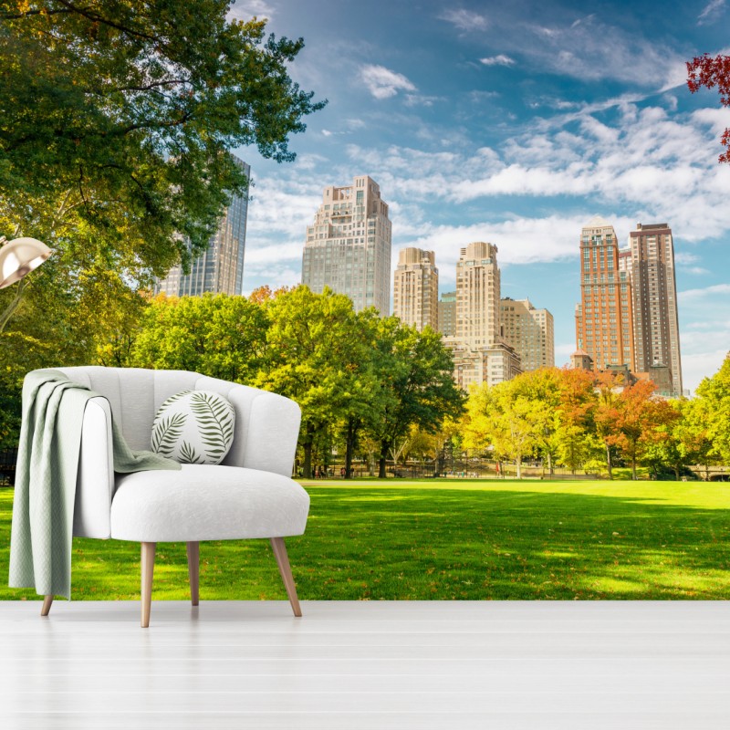Fototapeta Central Park jesienna panorama