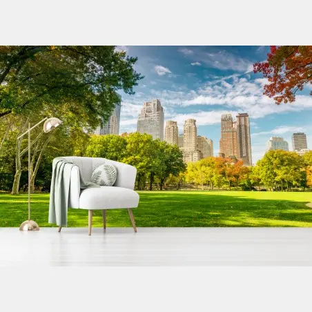 Fototapeta Central Park jesienna panorama – Wallissimo®