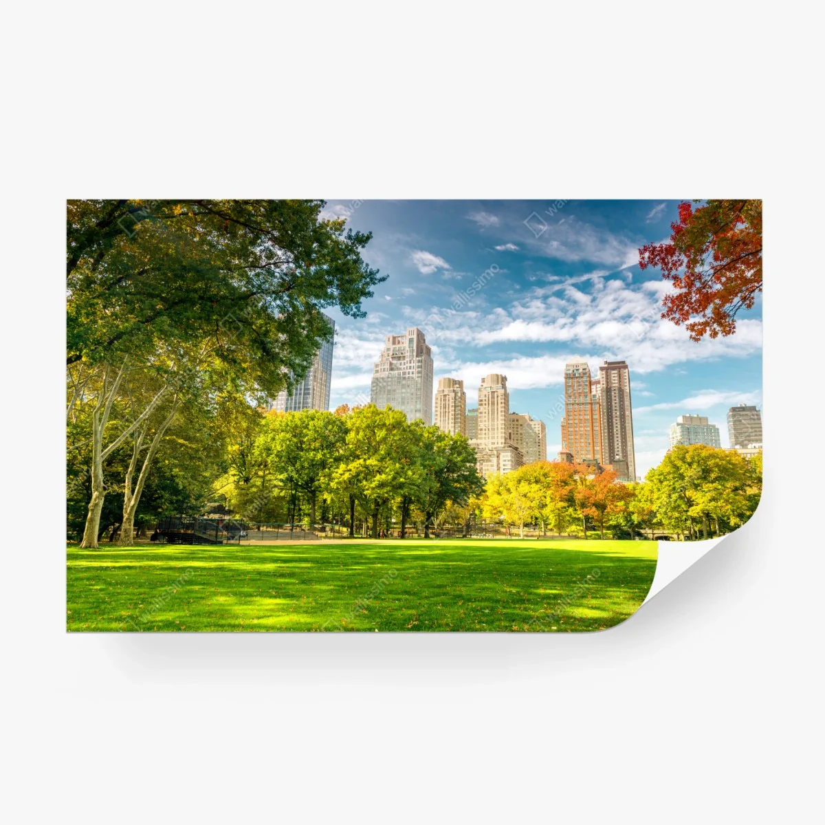 Fototapeta Central Park jesienna panorama – Wallissimo® Fototapeta Central Park jesienna panorama – Wallissimo®