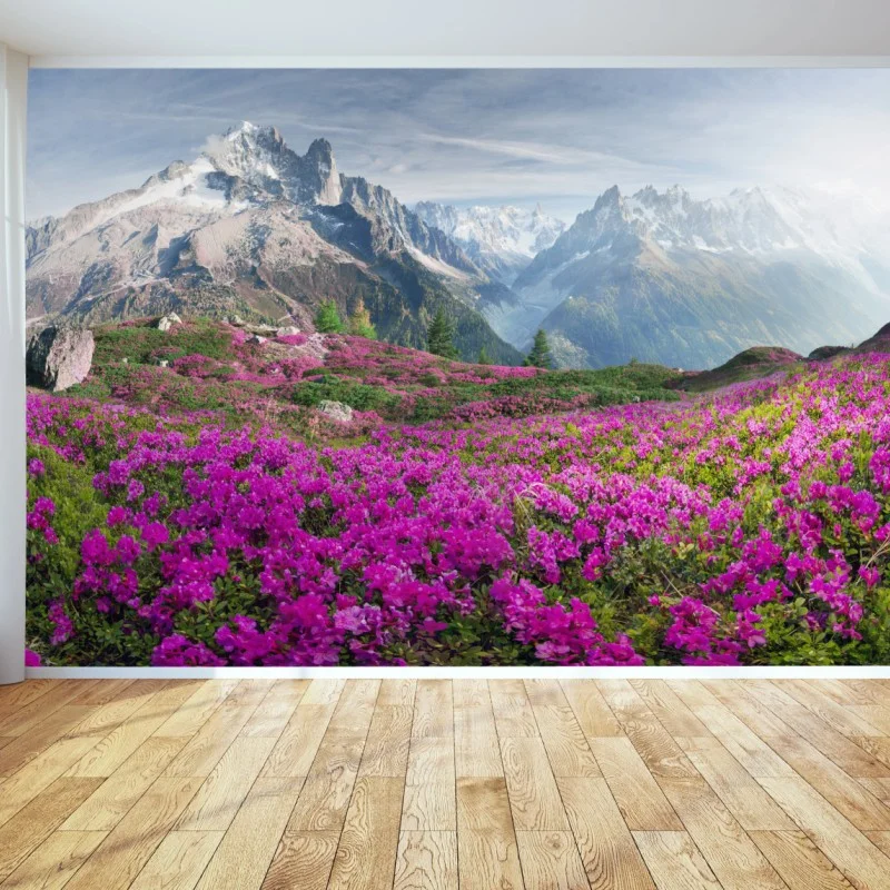 Fototapeta alpejska łąka różaneczników przy Mont Blanc