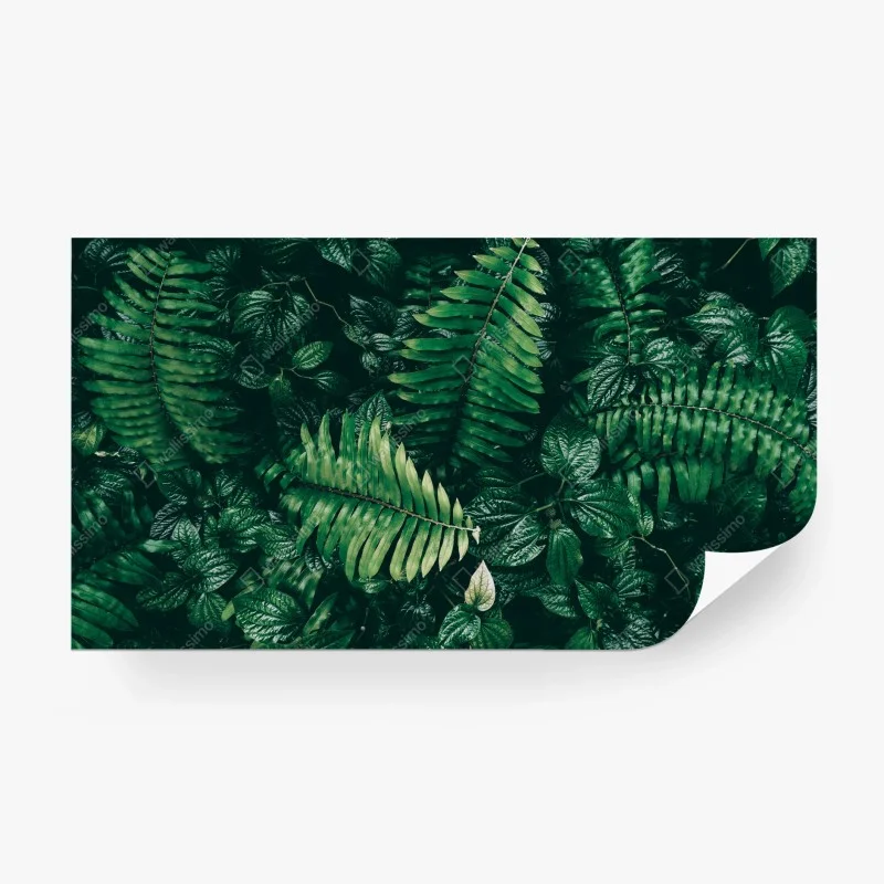 Fototapeta bujne tropikalne liście