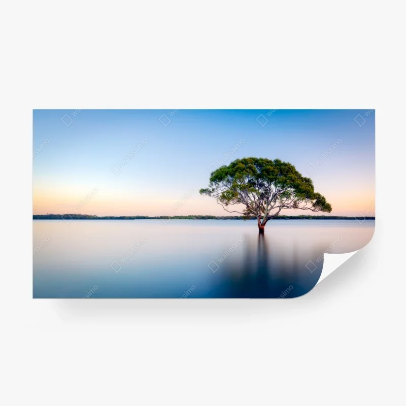 Fototapeta samotne drzewo nad spokojnym jeziorem