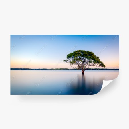 Fototapeta samotne drzewo nad spokojnym jeziorem – Wallissimo®