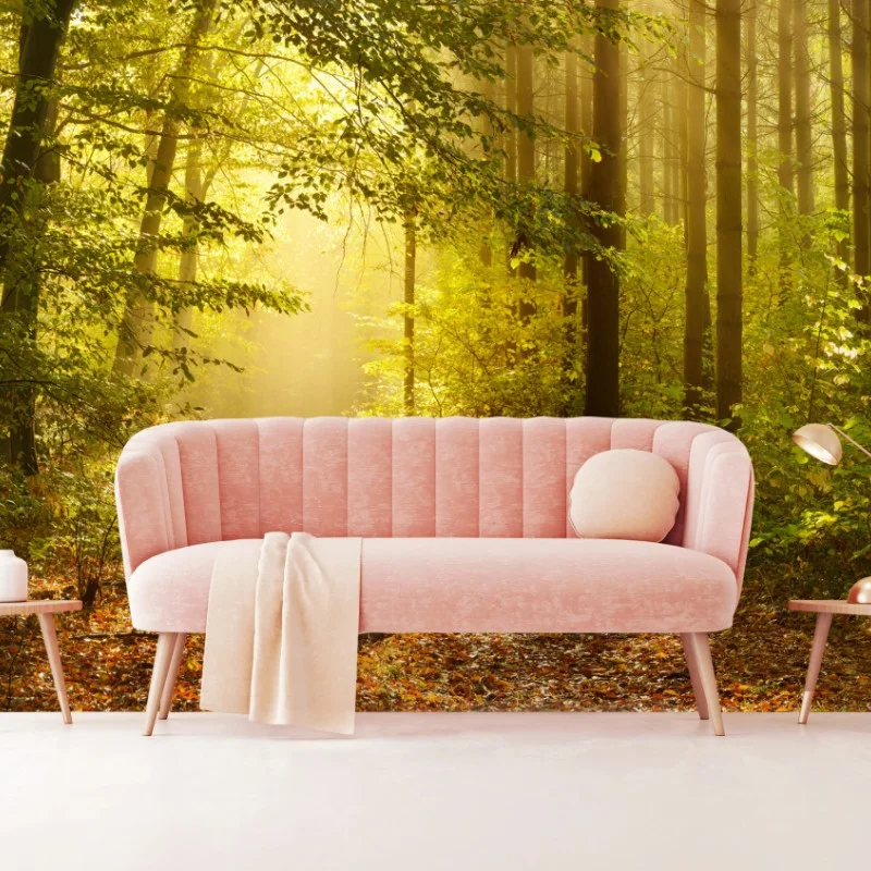 Fototapeta słoneczna leśna ścieżka jesienią