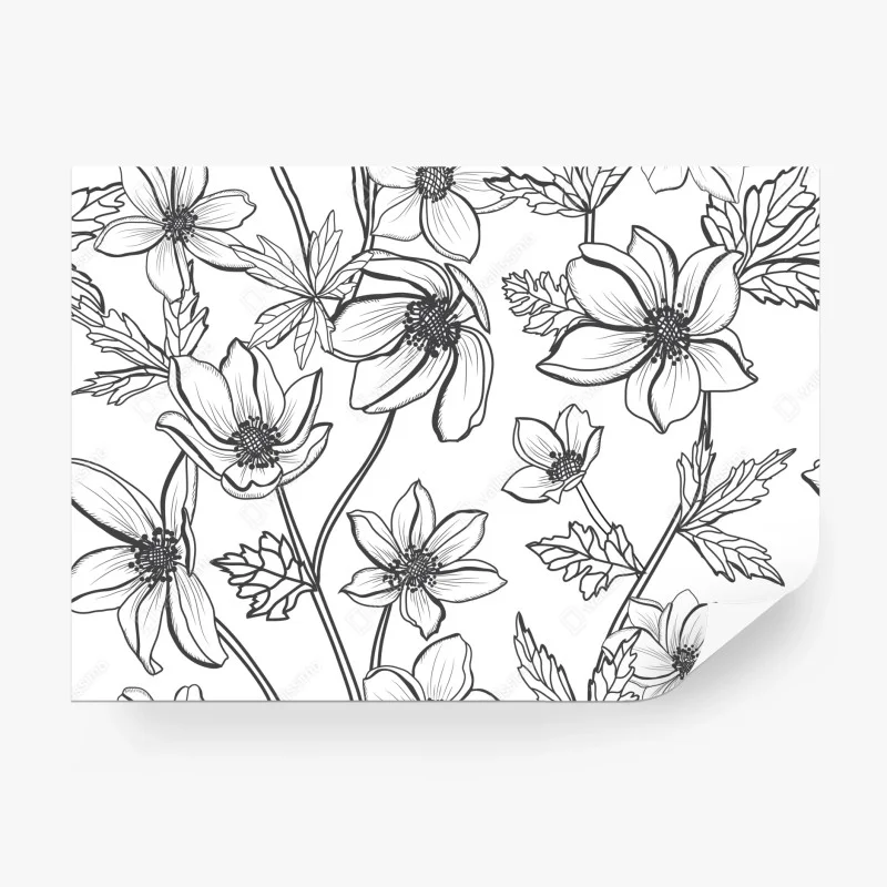 Fototapeta botaniczny rysunek kwiatowy