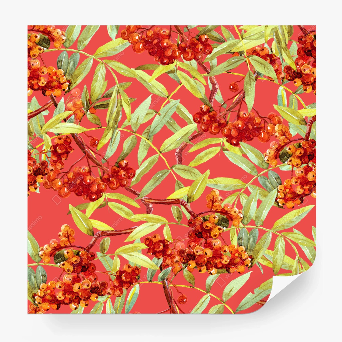 Fototapeta akwarelowy wzór jarzębiny – Wallissimo®