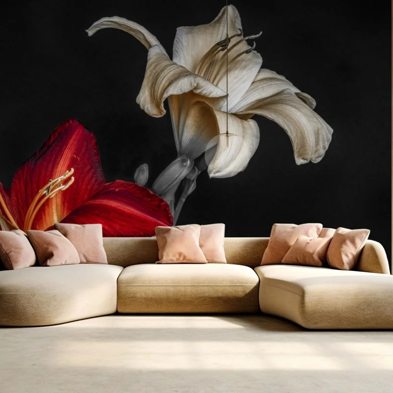 Fototapeta dramatyczne czerwone i kremowe lilie na czarnym tle