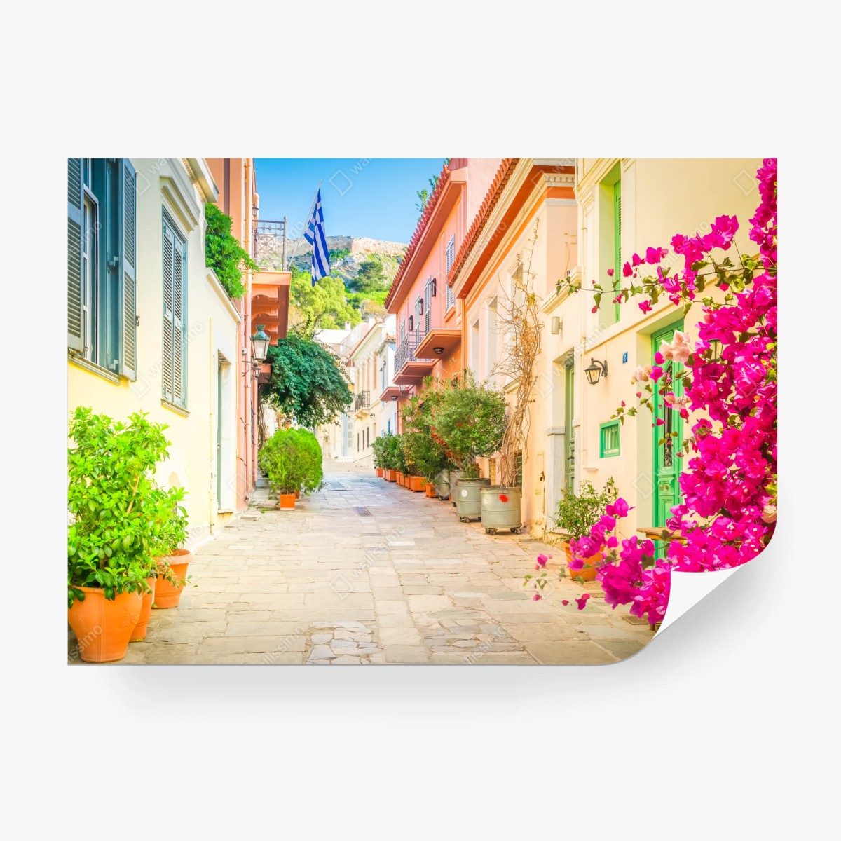 Fototapeta słoneczna grecka uliczka z bougainvilleą – Wallissimo®