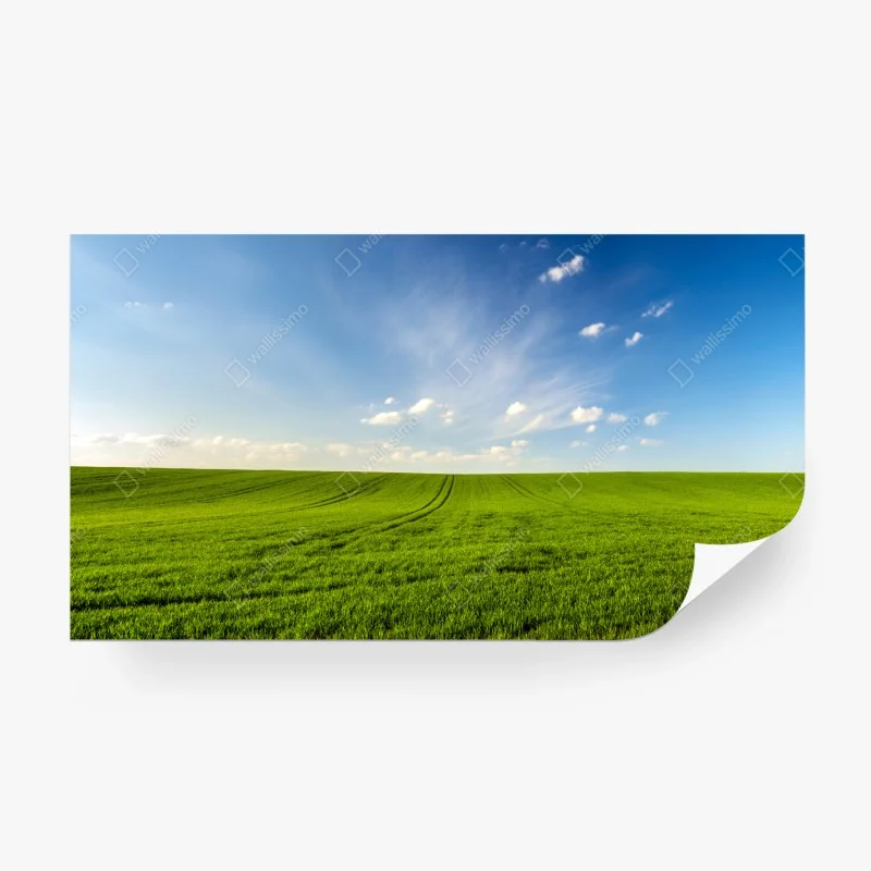 Fototapeta wiosenna zielona panorama łąki