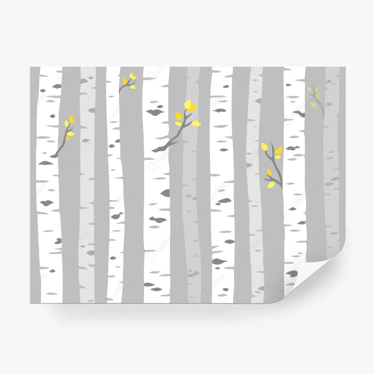 Fototapeta skandynawski las brzóz – Wallissimo® Fototapeta skandynawski las brzóz – Wallissimo®
