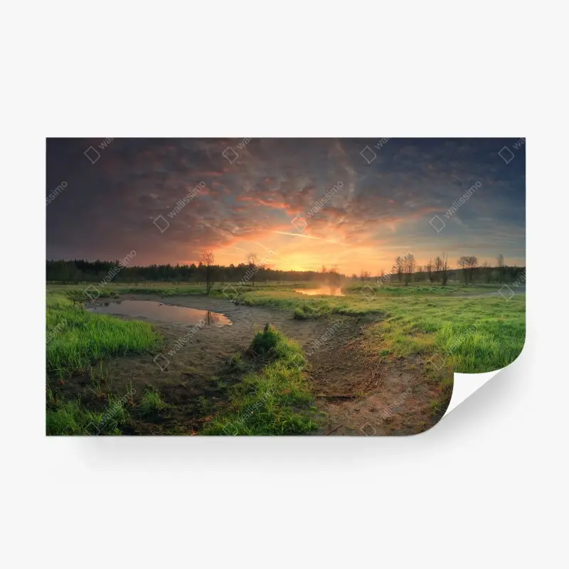 Fototapeta zachód słońca nad spokojną łąką
