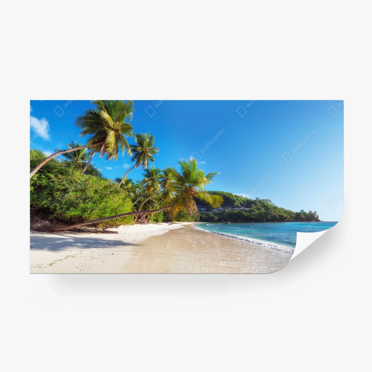 Fototapeta tropikalna plaża z palmami – Wallissimo®