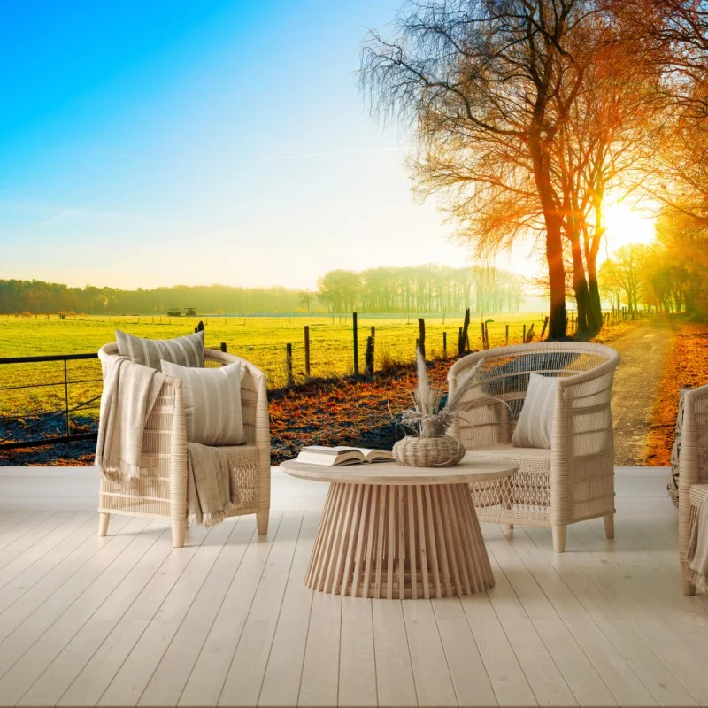 Fototapeta słoneczna wiejska droga przez jesienną łąkę