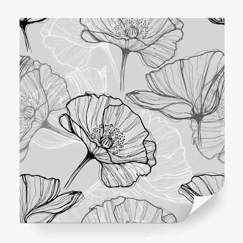 Fototapeta delikatny szary mak w rysunku liniowym