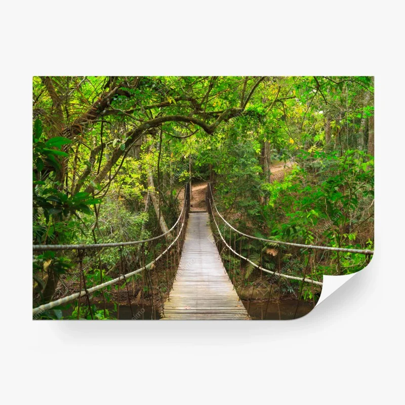 Fototapeta wiszący drewniany most w zielonym lesie