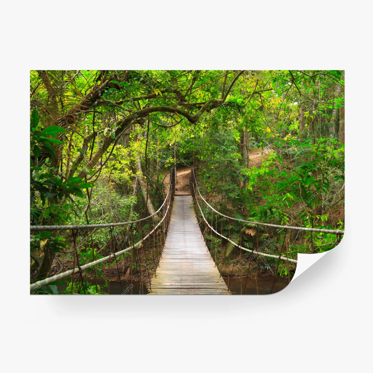 Fototapeta wiszący drewniany most w zielonym lesie – Wallissimo®