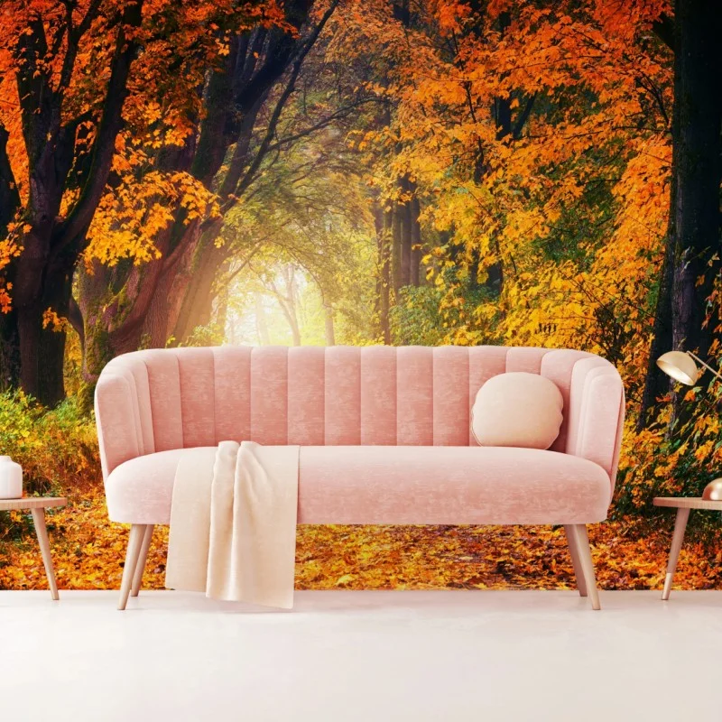 Fototapeta jesienna leśna ścieżka w złotym świetle