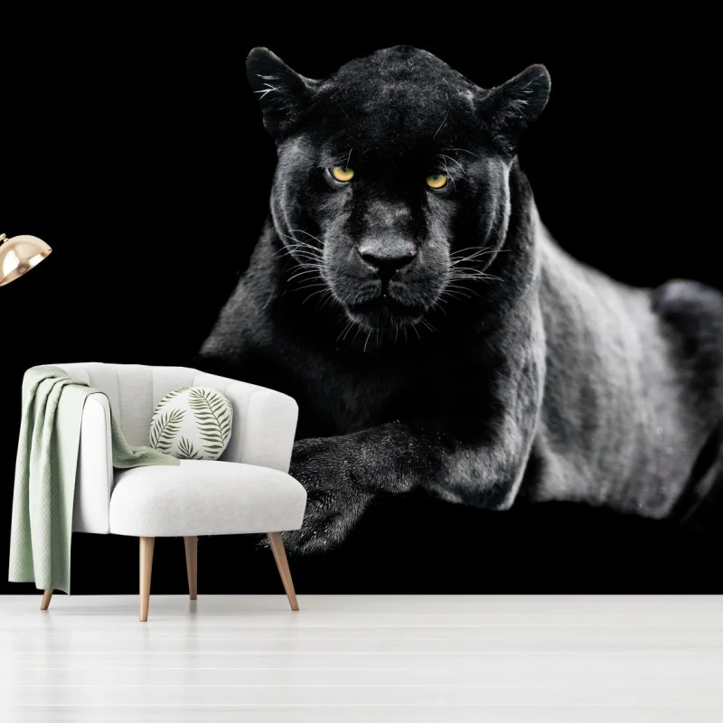 Fototapeta portret czarnej pantery na czarnym tle