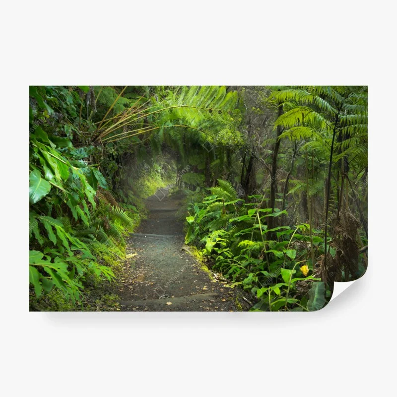 Fototapeta bujny las deszczowy na szlaku Kilauea Iki, Hawaje