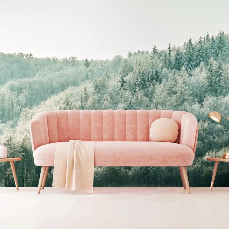 Fototapeta mglisty szronowy las