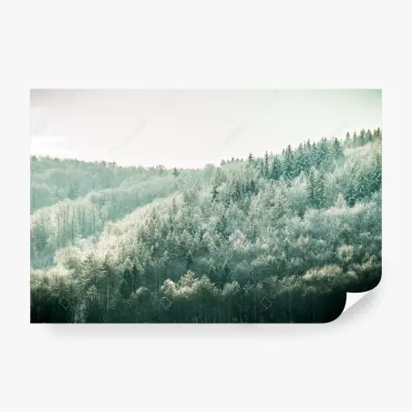 Fototapeta mglisty szronowy las – Wallissimo®