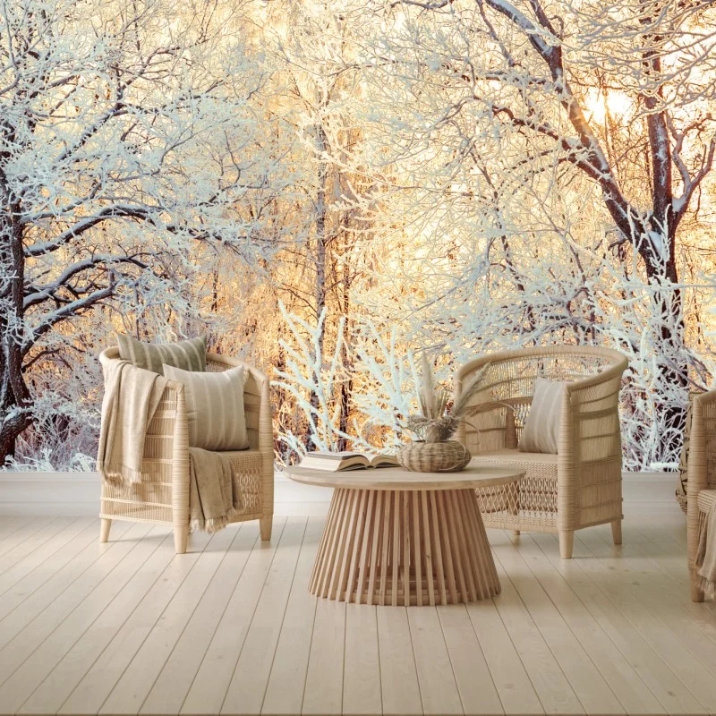 Fototapeta zimowe światło słońca w zaśnieżonym lesie