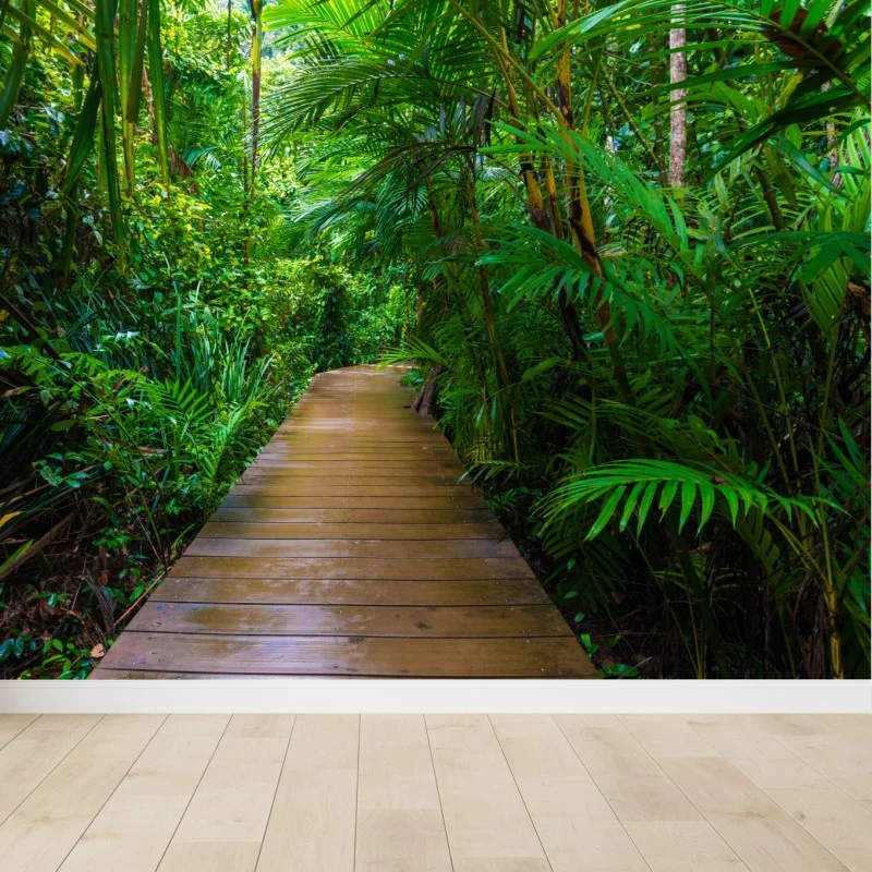 Fototapeta mangrowa kładka w bujnej zielonej dżungli