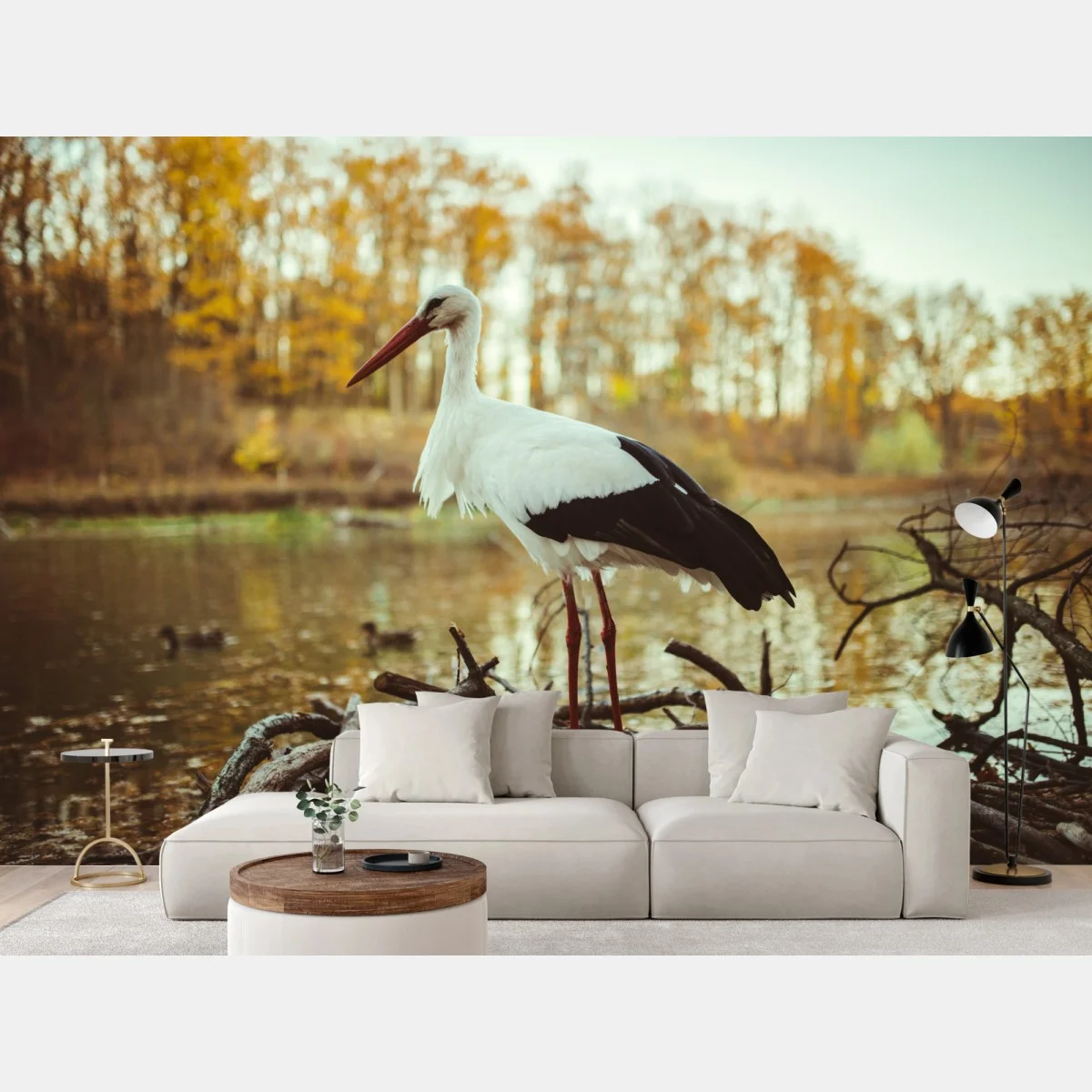 Fototapeta biały bocian nad jesiennym jeziorem – Wallissimo® Fototapeta biały bocian nad jesiennym jeziorem – Wallissimo®
