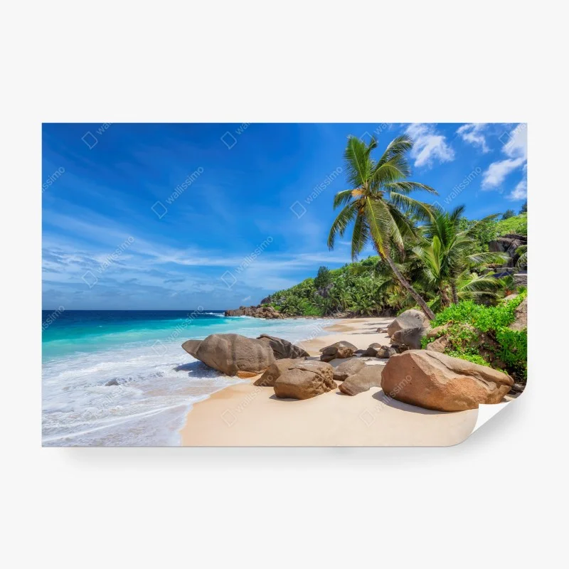 Fototapeta tropikalna plaża z palmami