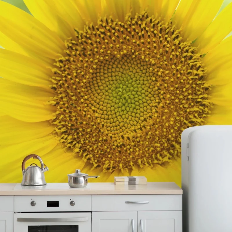 Fototapeta zbliżenie słonecznika