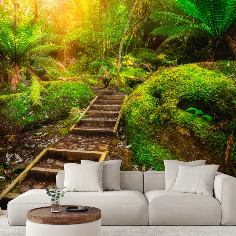 Fototapeta ścieżka w lesie deszczowym na Półwyspie Tasmańskim