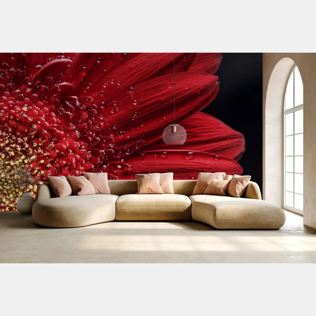 Fototapeta czerwona gerbera makro z kroplami rosy – Wallissimo® Fototapeta czerwona gerbera makro z kroplami rosy – Wallissimo®