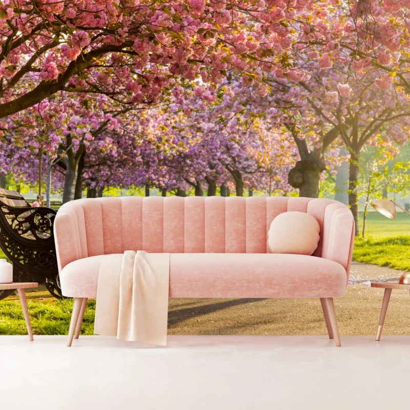 Fototapeta aleja kwitnących wiśni wiosną