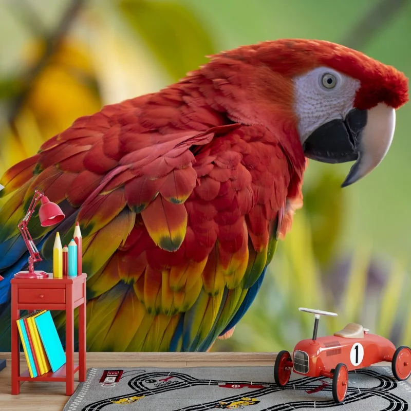 Fototapeta wyrazisty portret ary szkarłatnej