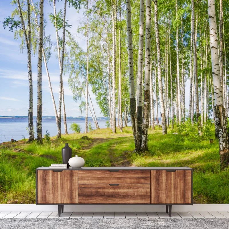 Fototapeta słoneczny zagajnik brzozowy nad wodą