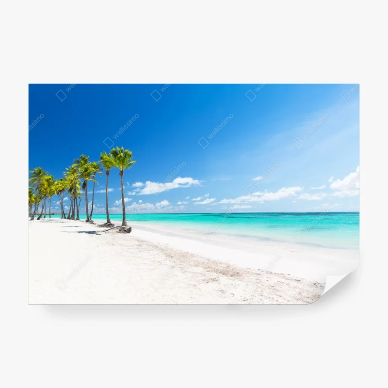 Fototapeta palmy na plaży w Punta Cana