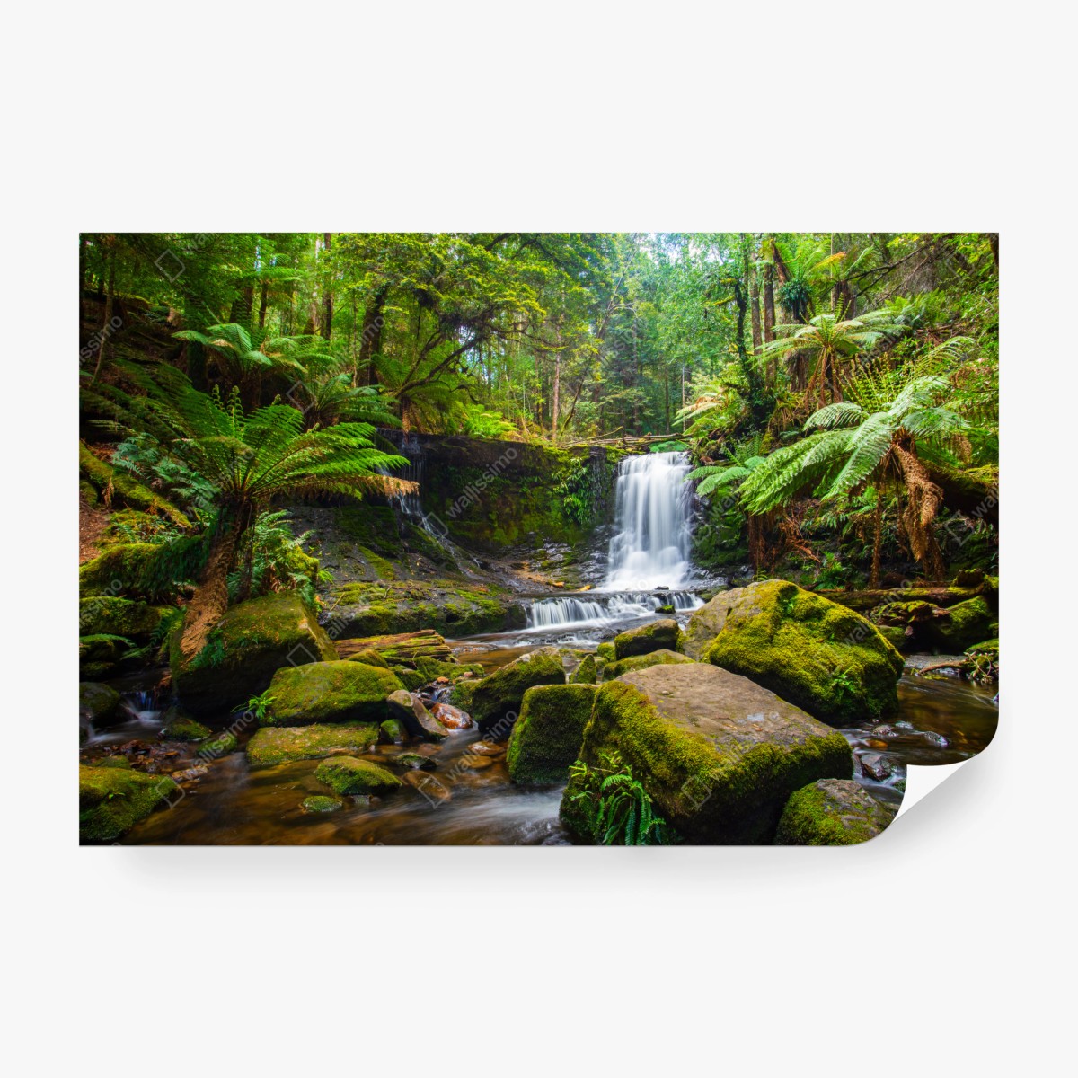 Fototapeta bujny leśny wodospad – Wallissimo® Fototapeta bujny leśny wodospad – Wallissimo®