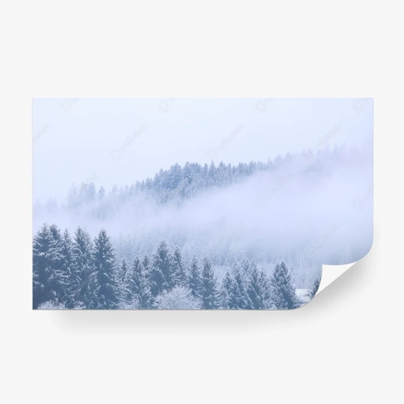 Fototapeta zimowa mgła nad lasem iglastym – Wallissimo®