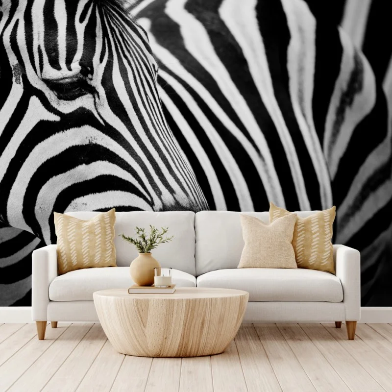 Fototapeta zebra w monochromatycznych paskach – Wallissimo® Fototapeta zebra w monochromatycznych paskach – Wallissimo®