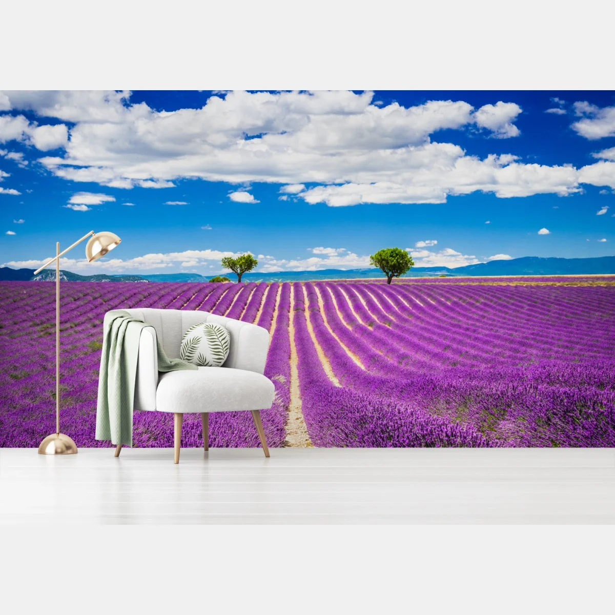 Fototapeta pola lawendy w Prowansji – Wallissimo® Fototapeta pola lawendy w Prowansji – Wallissimo®