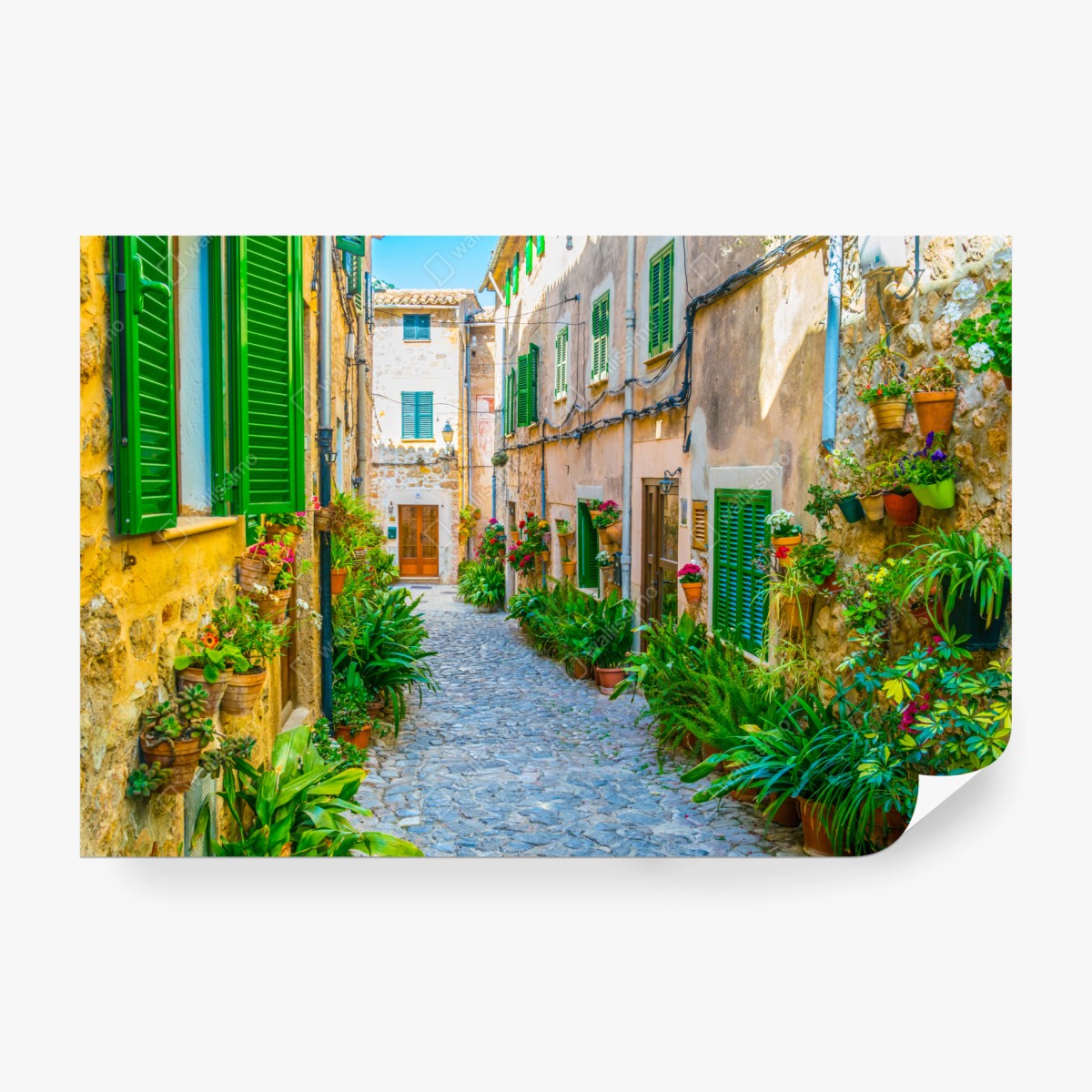 Fototapeta słoneczna uliczka z zielonymi okiennicami – Wallissimo®