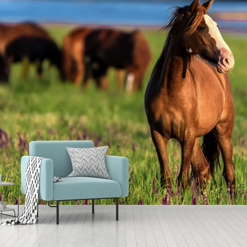 Fototapeta majestatyczny brązowy koń na słonecznej łące